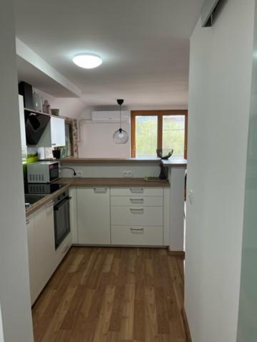 Apartma Ela Zgornje Gorje Zewnętrze zdjęcie